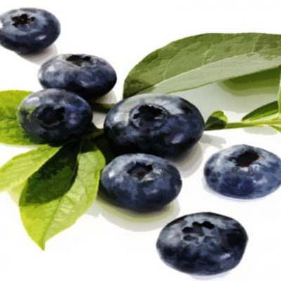 blueberry e Liquid