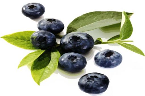 blueberry e Liquid